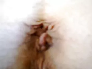 そのような美しさは数日間呪われることがあ ...