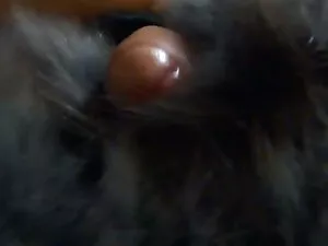 女の子に会い、ヨーグルトで彼女を扱う。  ...